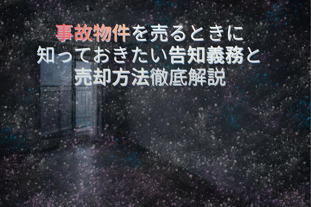 画像12942