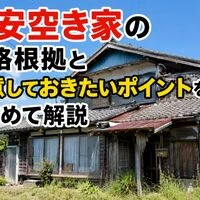 画像14982