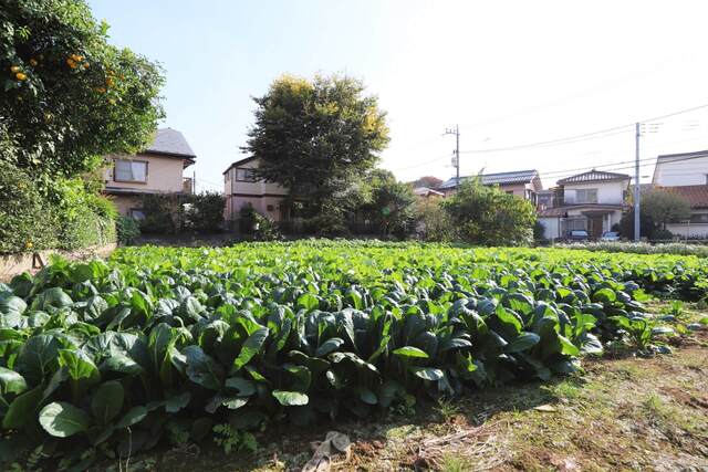 住宅街に広がる家庭菜園と住宅群、行き交う人々と青空の風景