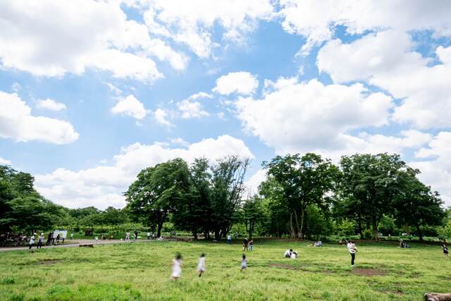 朝霞市で事故物件買取が検討される背景｜住宅需要と地域特性